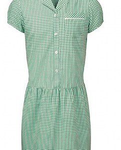 Green and white short sleeve dress.