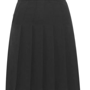 Black Designer Pleated Skirt
