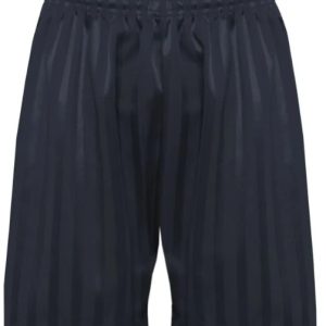 Navy Shadow Shorts
